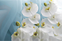 Стол обеденный Бостон на опоре брифинг-хром столешница с фотопечатью белая орхидея